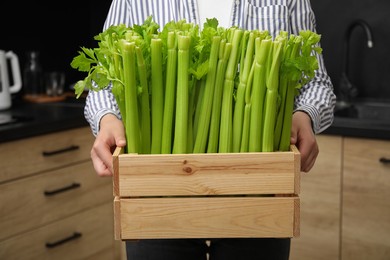 Woman holding crate with fresh green celery in kitchen, closeup
