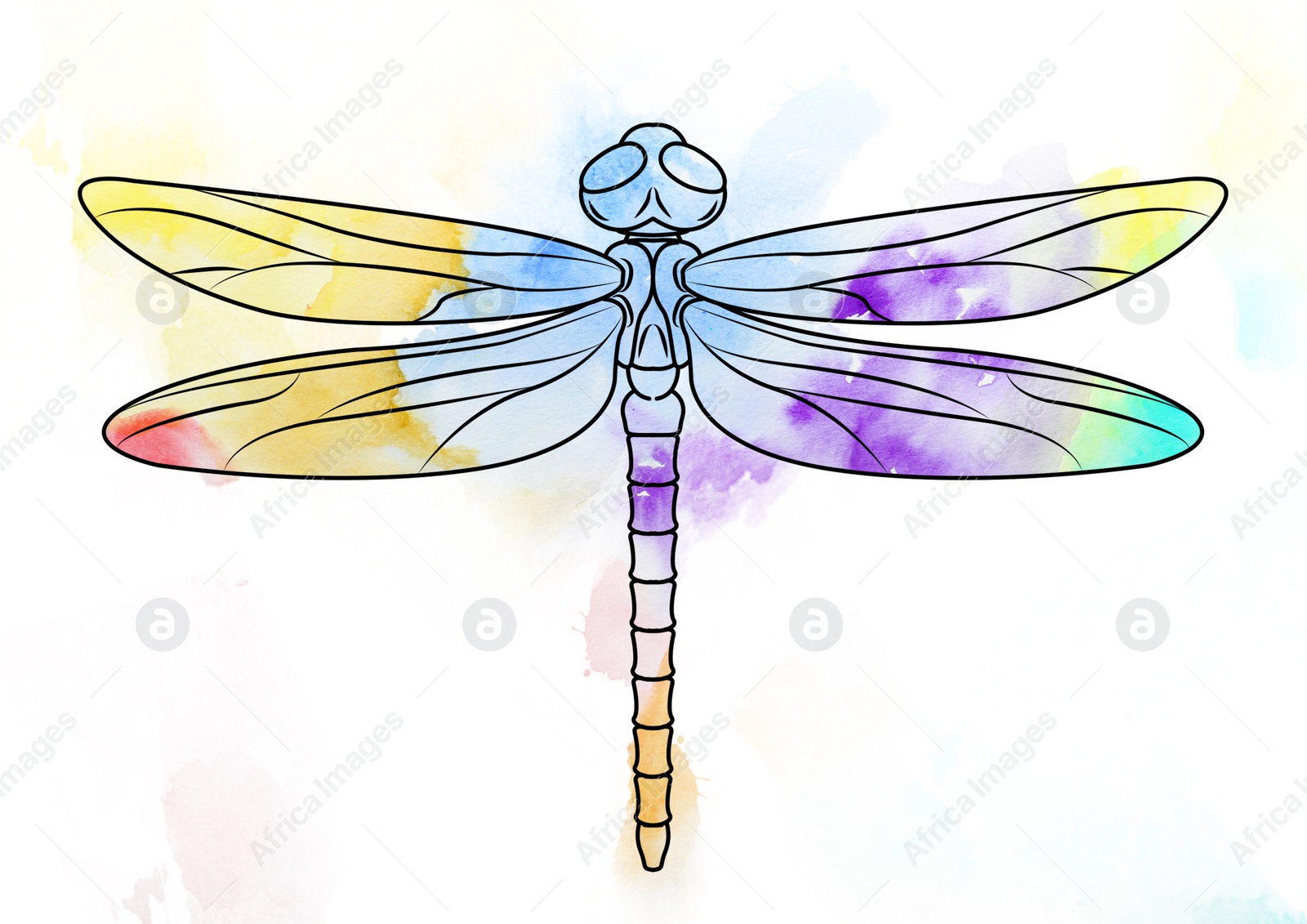 Illustration of Silhouette of dragonfly and watercolor paint on white background