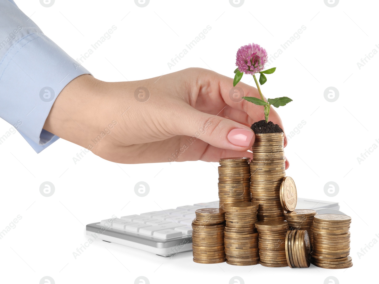 Photo of Woman putting coin onto stack with beautiful plant on white background, closeup