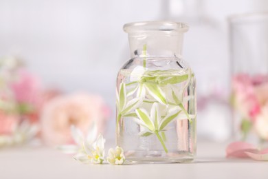 Photo of Apothecary bottle with ornithogalum flowers on white table. Essential oil extraction