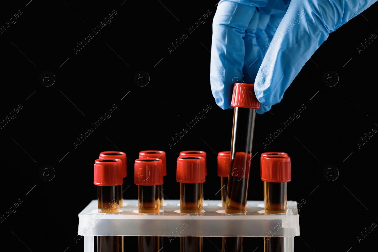 Photo of Scientist putting test tube with brown liquid into stand against black background, closeup