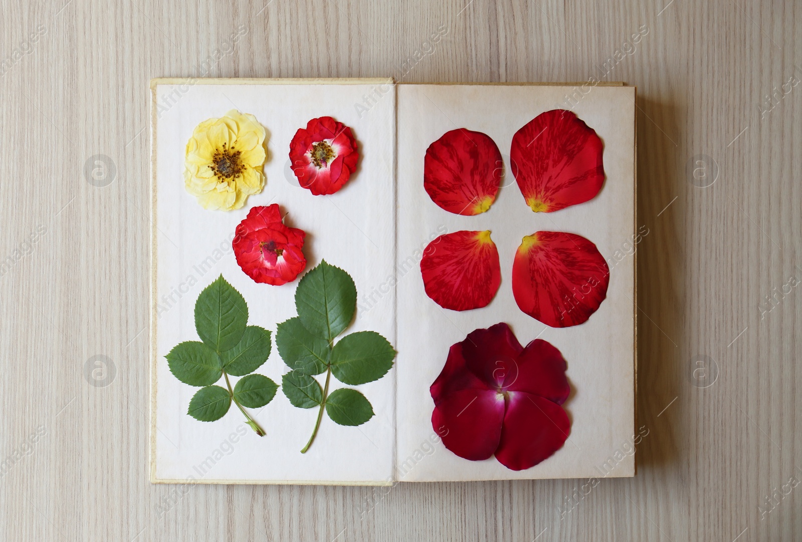 Photo of Book with beautiful flowers, leaves and petals prepared for drying on wooden table, top view