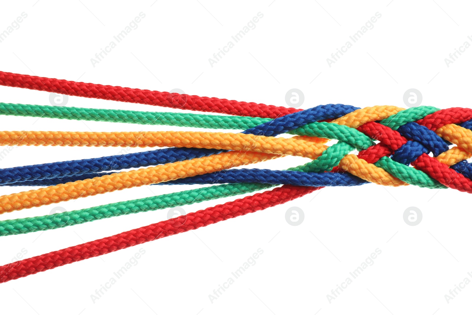 Photo of Braided colorful ropes on white background. Unity concept