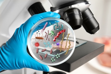Image of Scientist holding Petri dish with microbes, closeup. Laboratory analysis