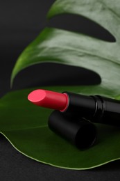 Beautiful pink lipstick and green leaf on black background