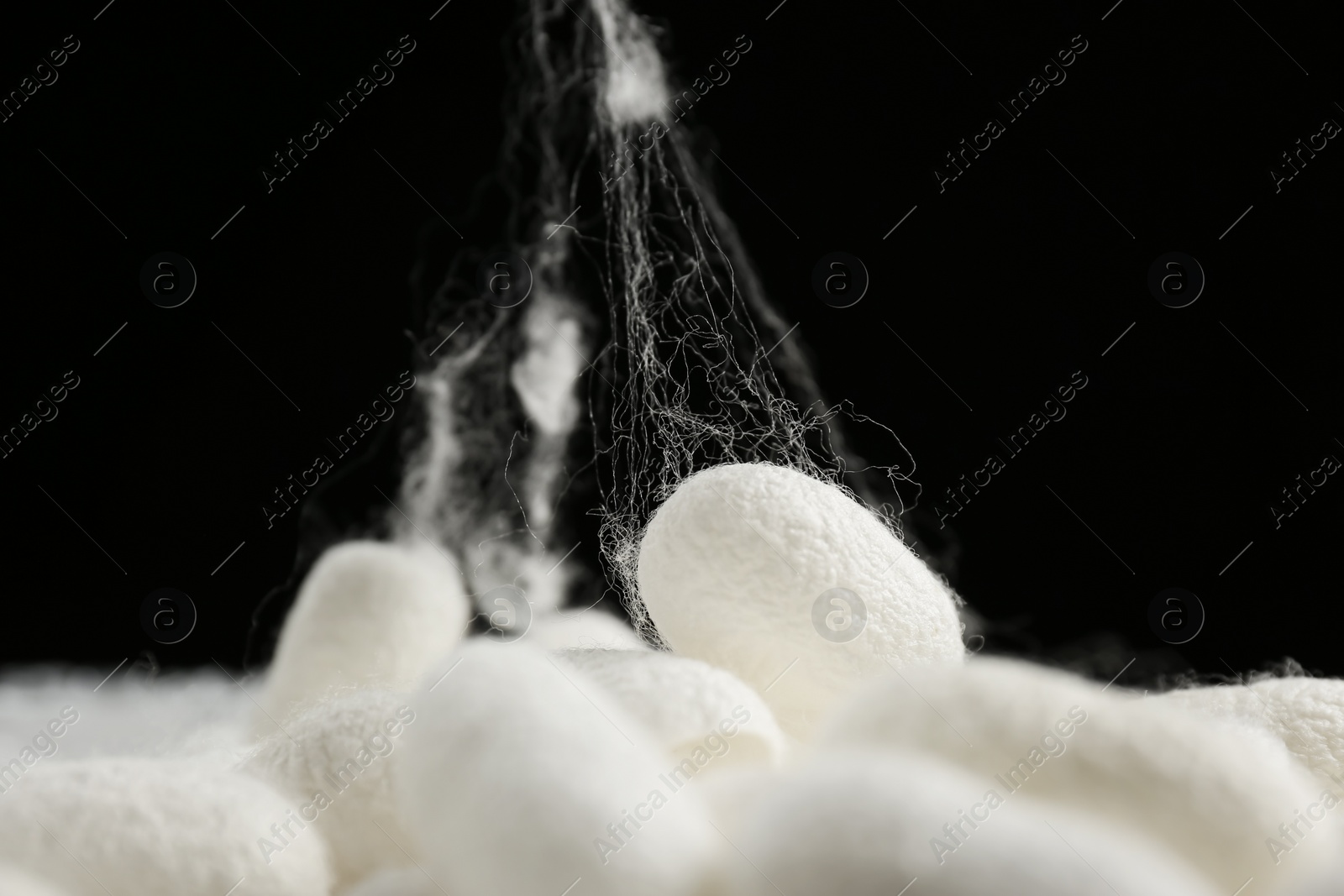 Photo of Heap of white silk cocoons on black background, closeup