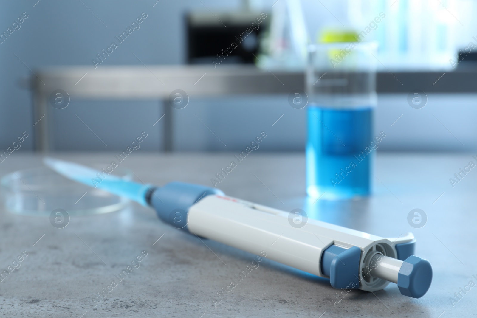 Photo of Laboratory analysis. Micropipette, petri dish and beaker with liquid on grey table, closeup