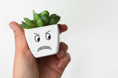 Photo of Closeup viewwoman holding potted plant with angry face on white background, space for text. Emotional management