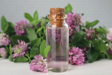 Photo of Beautiful clover flowers and bottle of essential oil on white wooden table