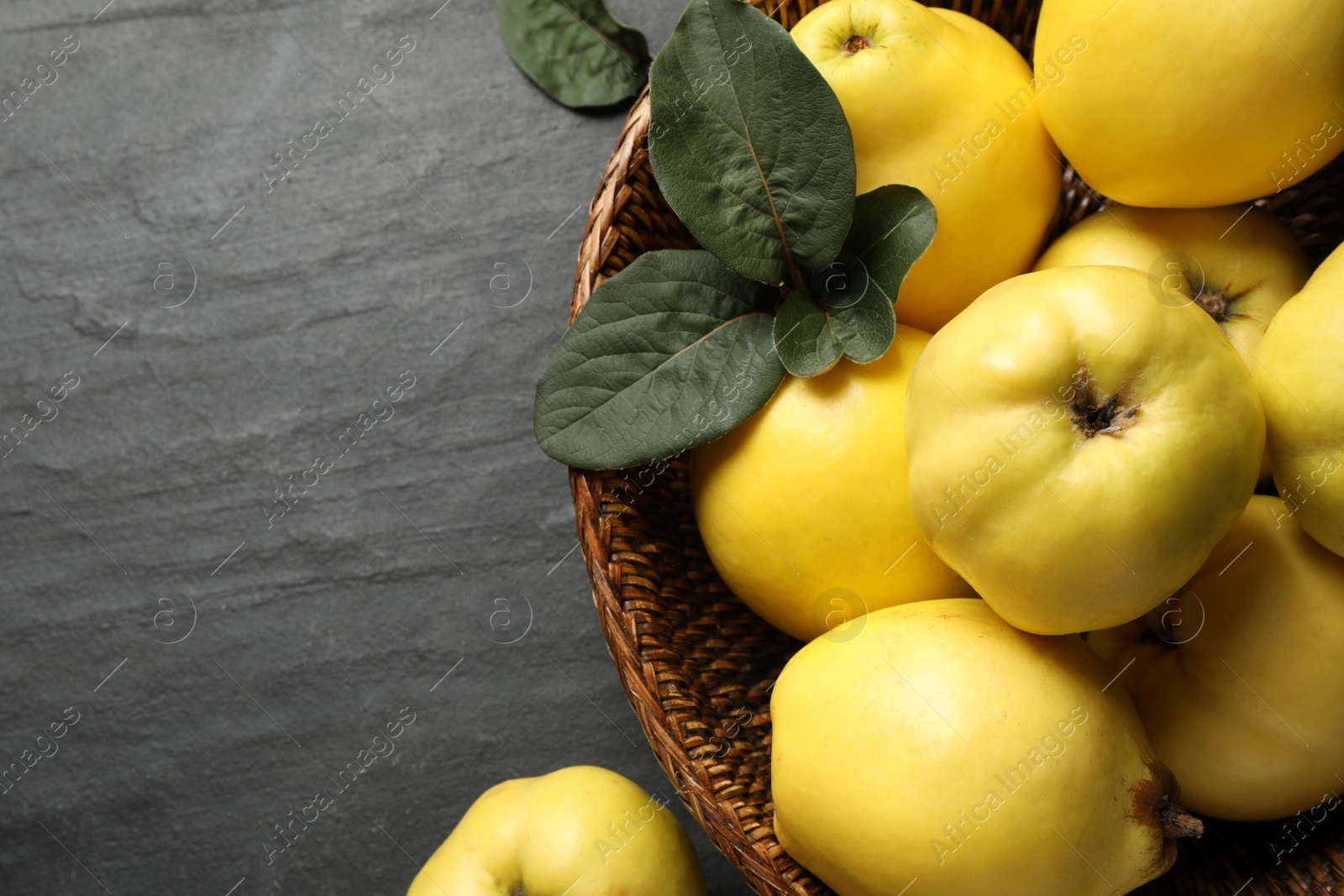 Photo of Fresh ripe organic quinces with leaves on black table, closeup. Space for text
