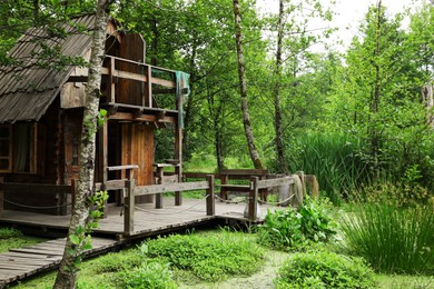 Photo of Old wooden hut in beautiful tranquil forest