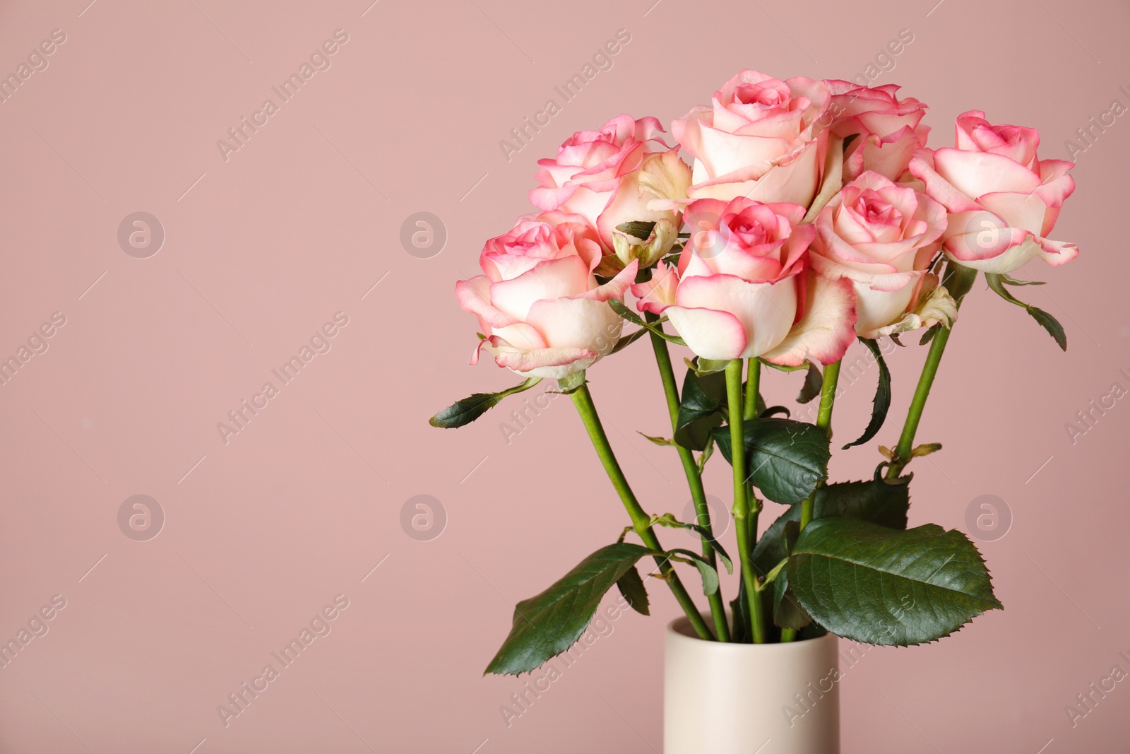 Photo of Vase with beautiful roses on pink background, closeup. Space for text