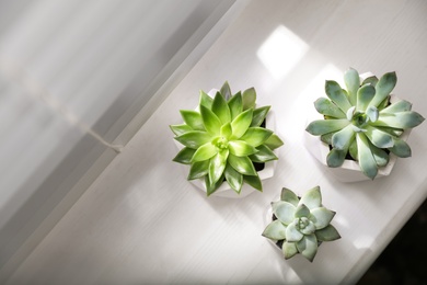Photo of Beautiful potted succulents on white window sill, flat lay