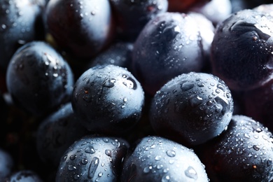 Bunch of fresh ripe juicy grapes as background. Closeup view