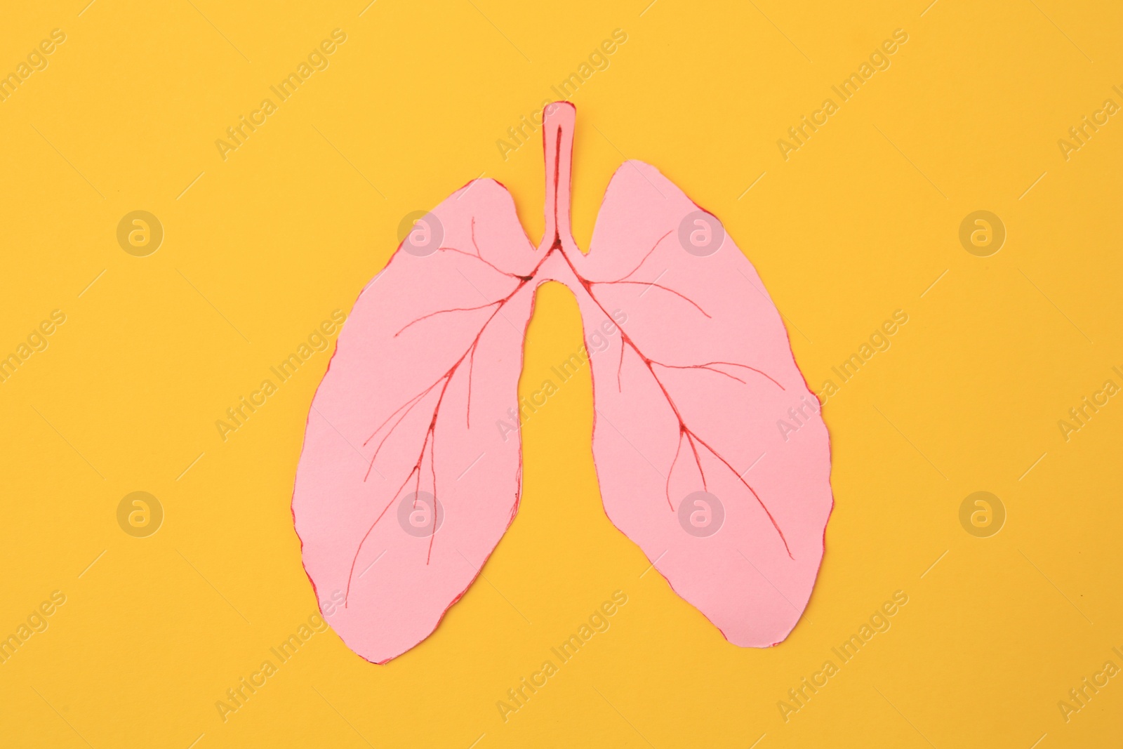 Photo of Paper cutout of human lungs on orange background, top view