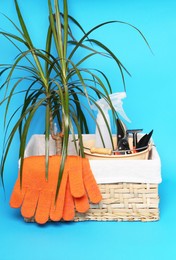 Photo of Basket with gardening gloves, tools and green houseplant on light blue background