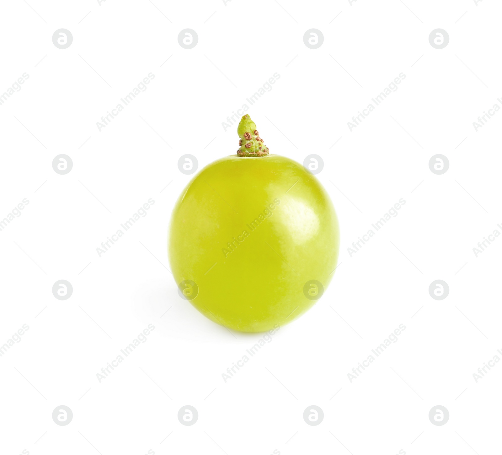 Photo of Delicious ripe green grape isolated on white