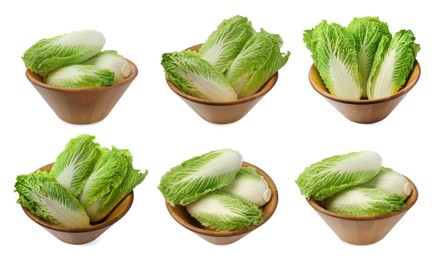 Image of Collage with fresh Chinese cabbages in bowls on white background