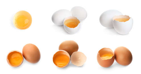 Set of whole and broken eggs on white background, banner design 