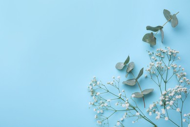 Photo of Beautiful gypsophila and eucalyptus on light blue background, flat lay. Space for text