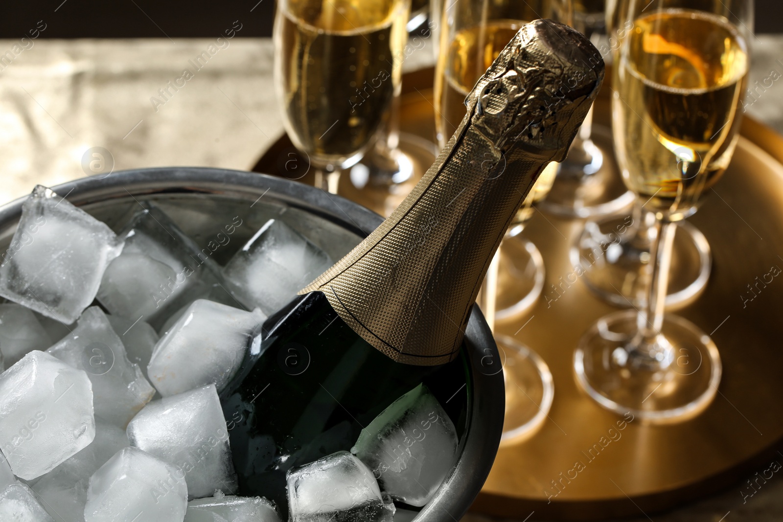 Photo of Bottle of champagne in bucket with ice cubes on table, closeup