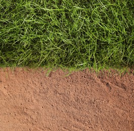 Image of Fresh green grass and ground outdoors, top view