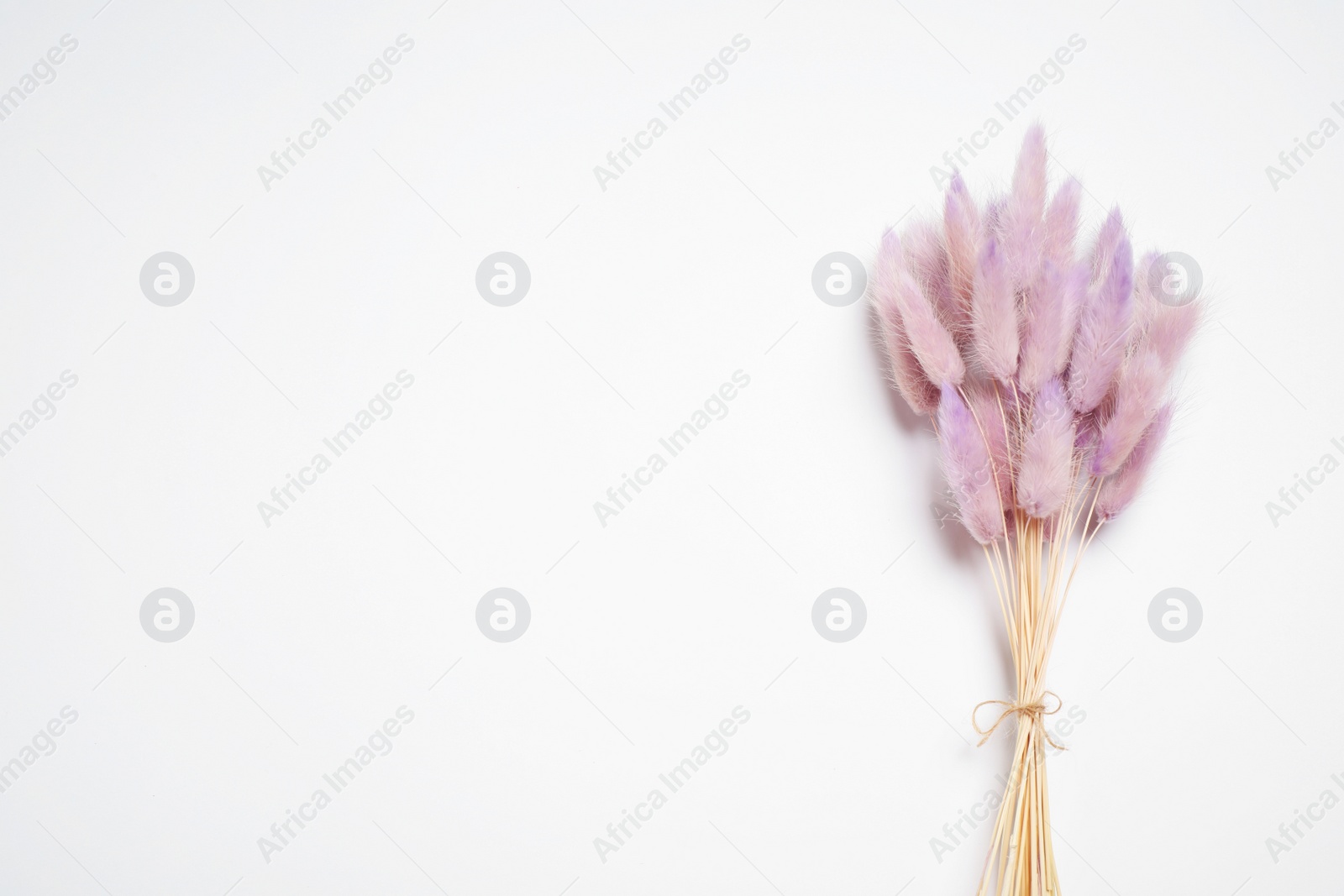 Photo of Bunch of beautiful dried flowers on white background, top view