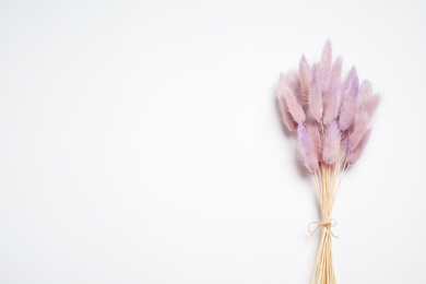 Bunch of beautiful dried flowers on white background, top view