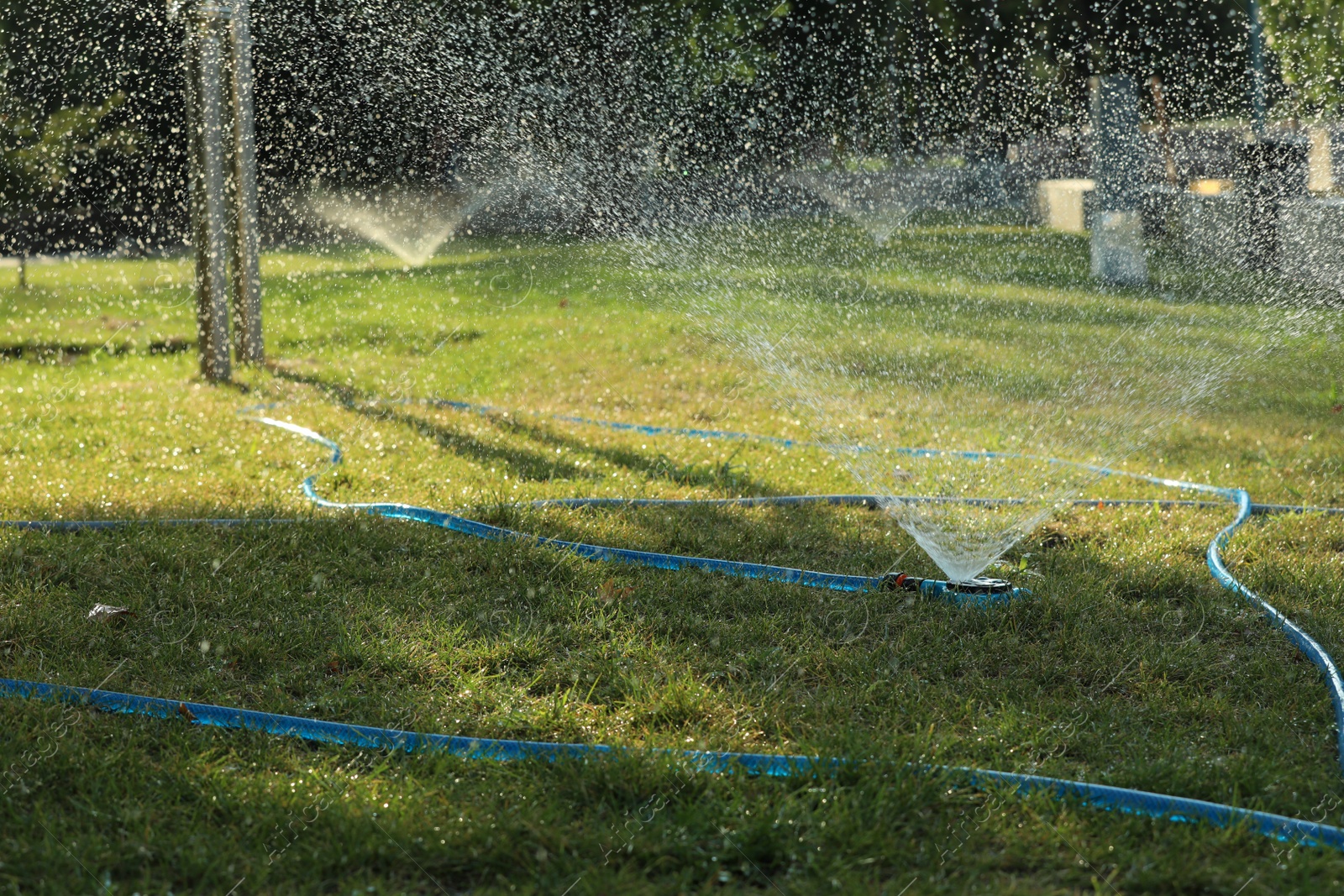 Photo of Automatic sprinkler watering green grass in park. Irrigation system