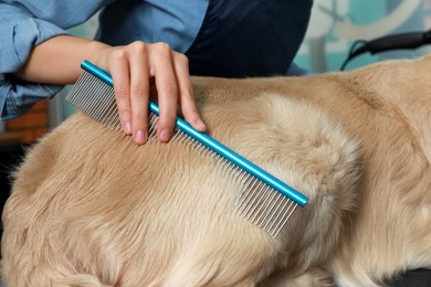 Photo of Professional groomer brushing fur of cute dog in pet beauty salon, closeup