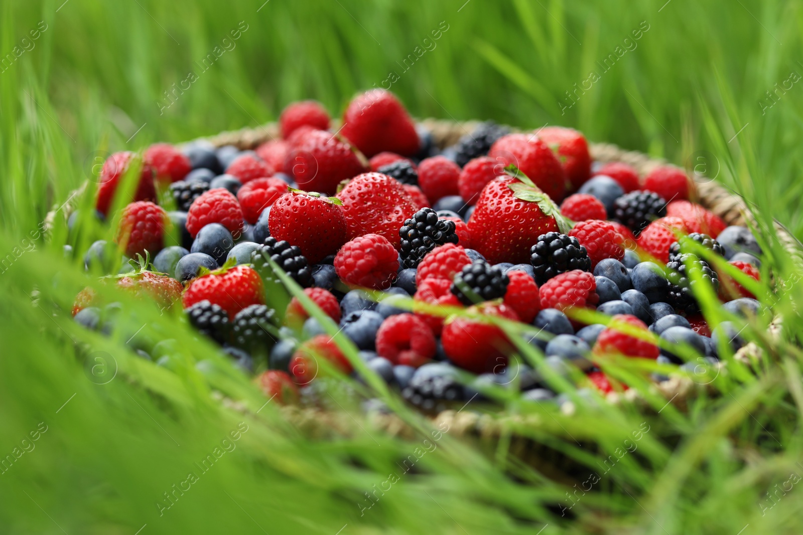 Photo of Wicker bowl with different fresh ripe berries in green grass outdoors, closeup