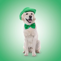 St. Patrick's day celebration. Cute Golden Retriever dog with hat and bow tie on green background