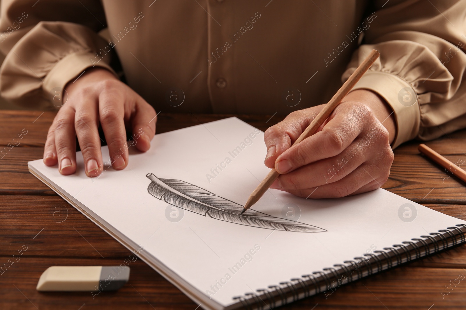 Photo of Woman drawing feather with graphite pencil in sketchbook at wooden table, closeup