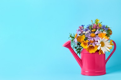 Photo of Pink watering can with beautiful flowers on light blue background, space for text