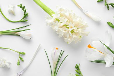 Flat lay composition with spring flowers on white background