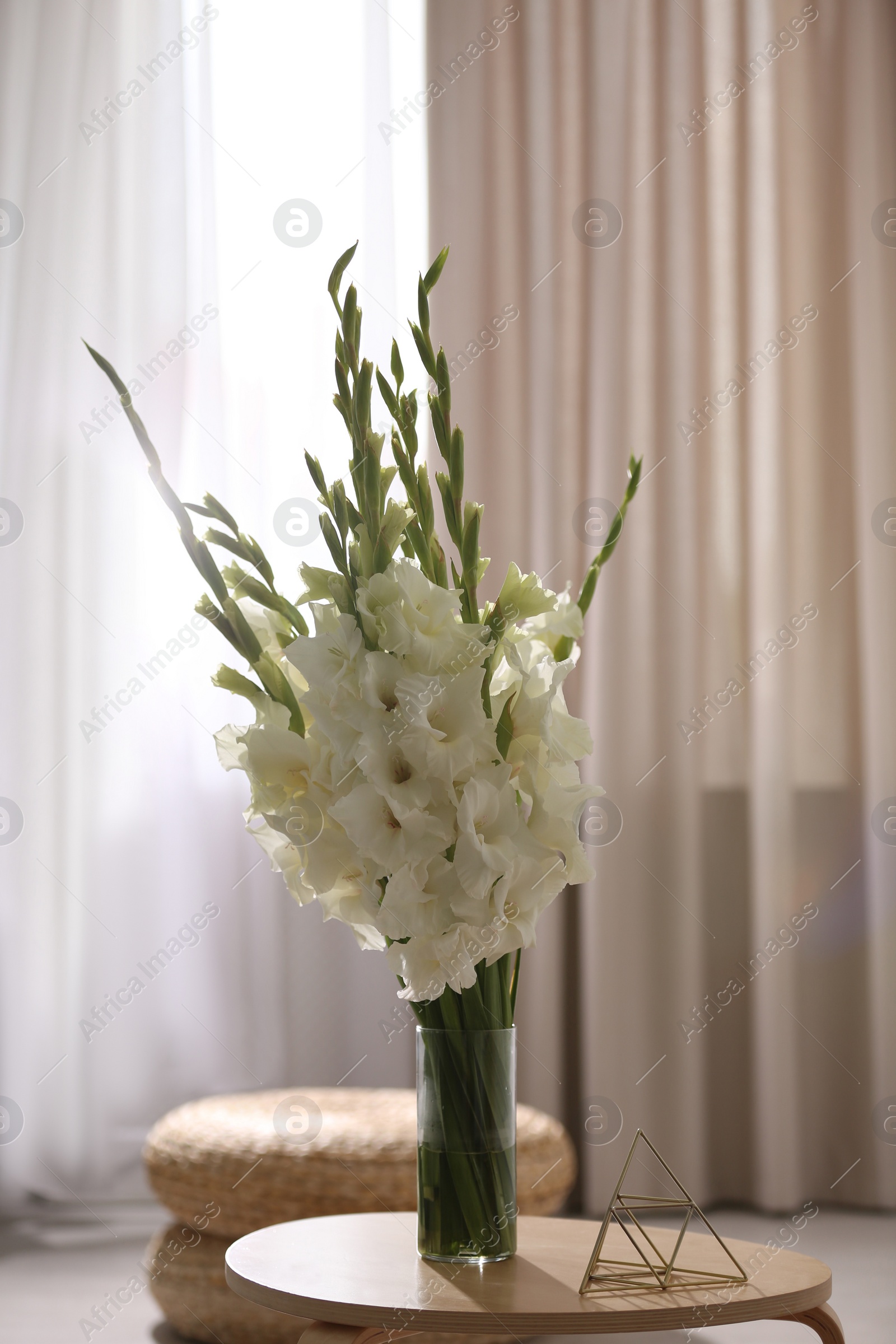 Photo of Vase with beautiful white gladiolus flowers on wooden table in room, space for text