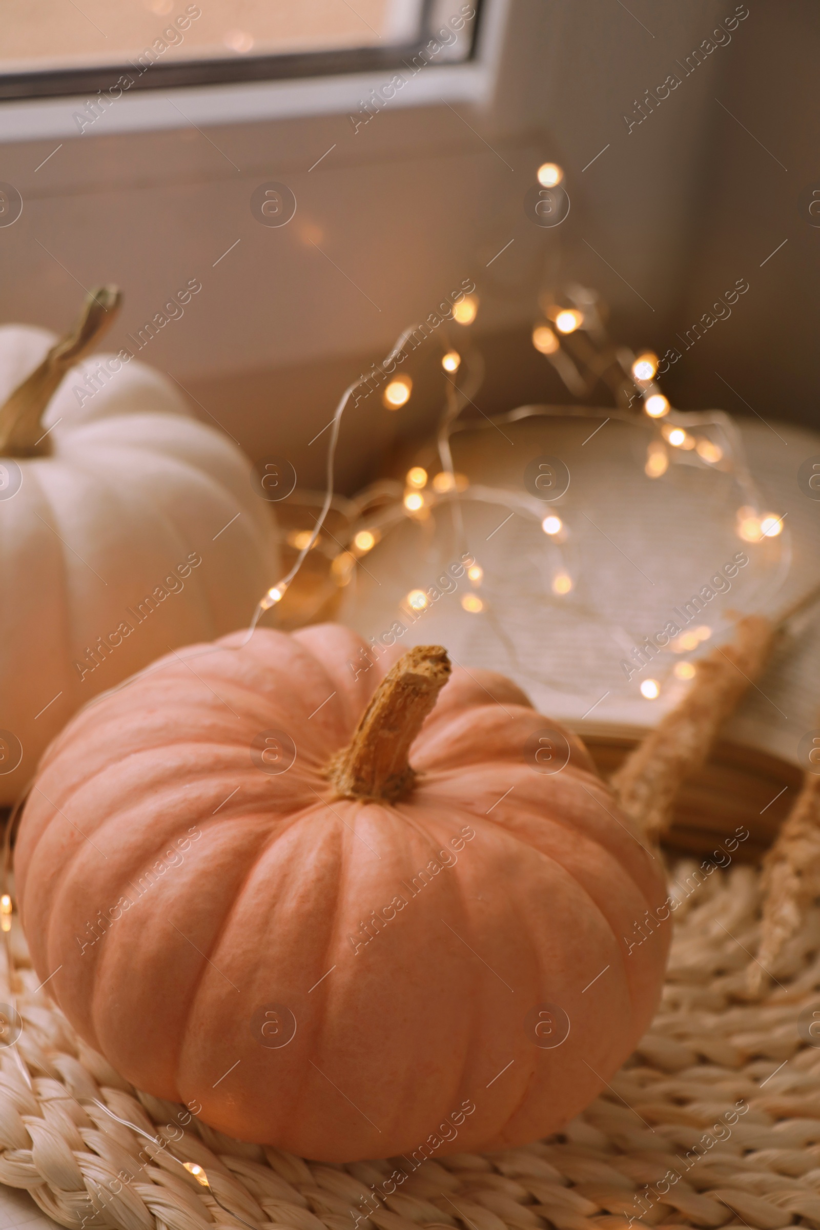 Photo of Pumpkins and festive lights on window sill indoors