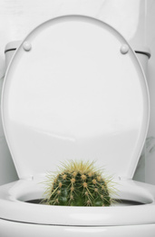 Photo of Toilet bowl with cactus near marble wall. Hemorrhoids concept