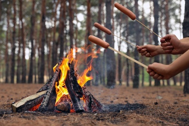 Photo of People roasting sausages over burning firewood in forest, closeup