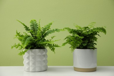 Photo of Beautiful fresh potted ferns on white table