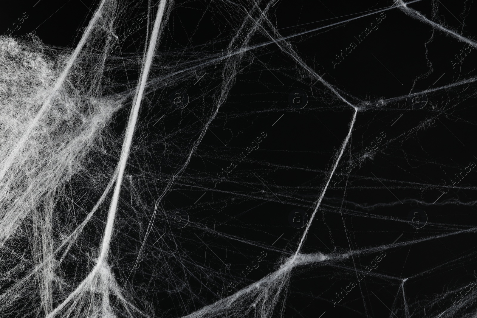 Photo of Creepy white spider web on black background