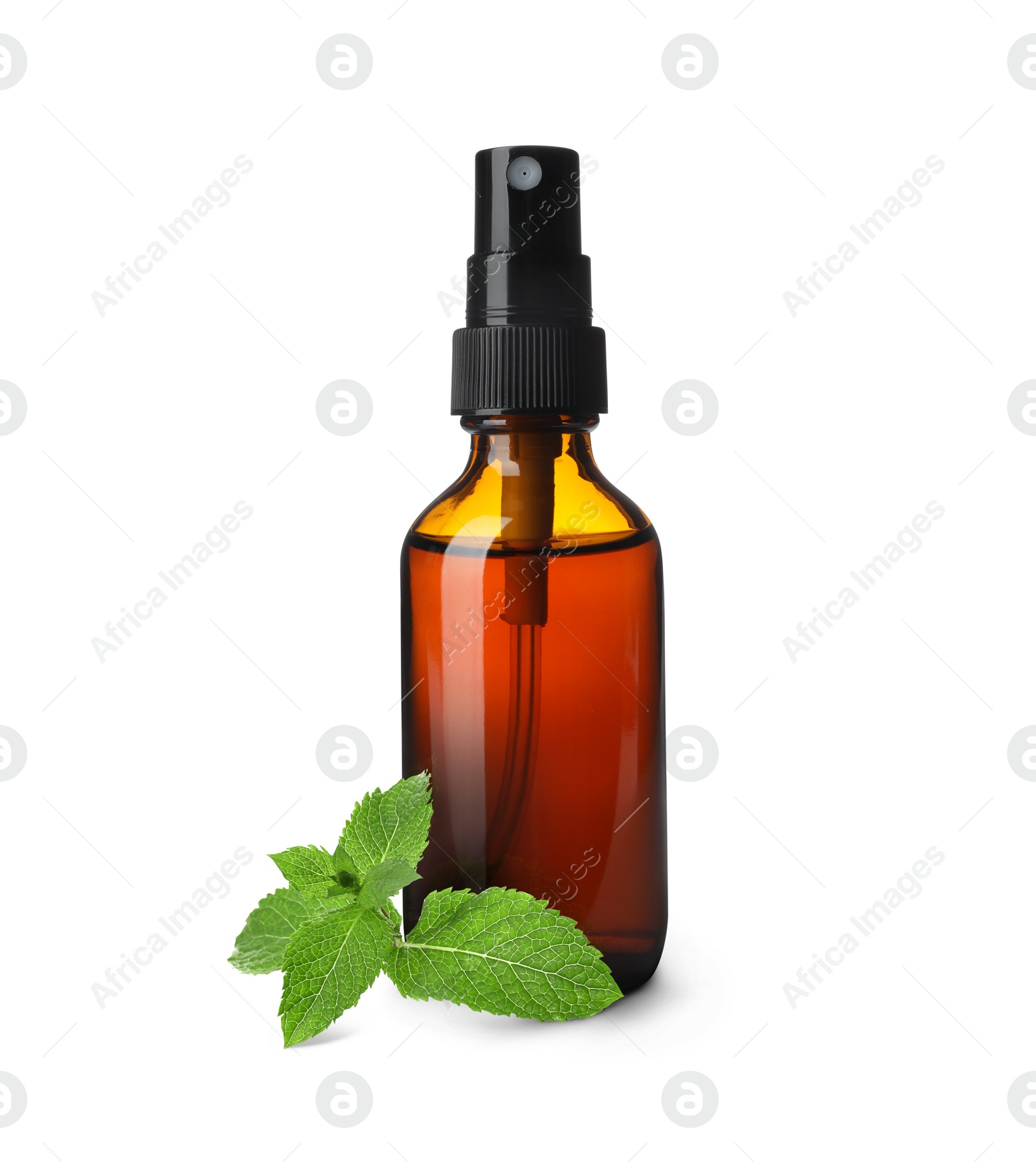 Image of Bottle of mint essential oil and green leaves on white background