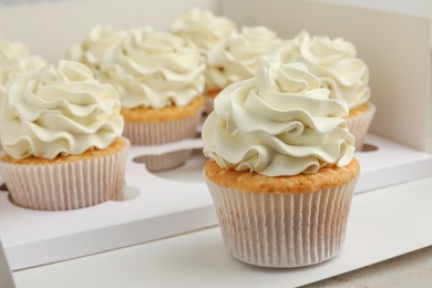 Tasty cupcakes with vanilla cream in box, closeup