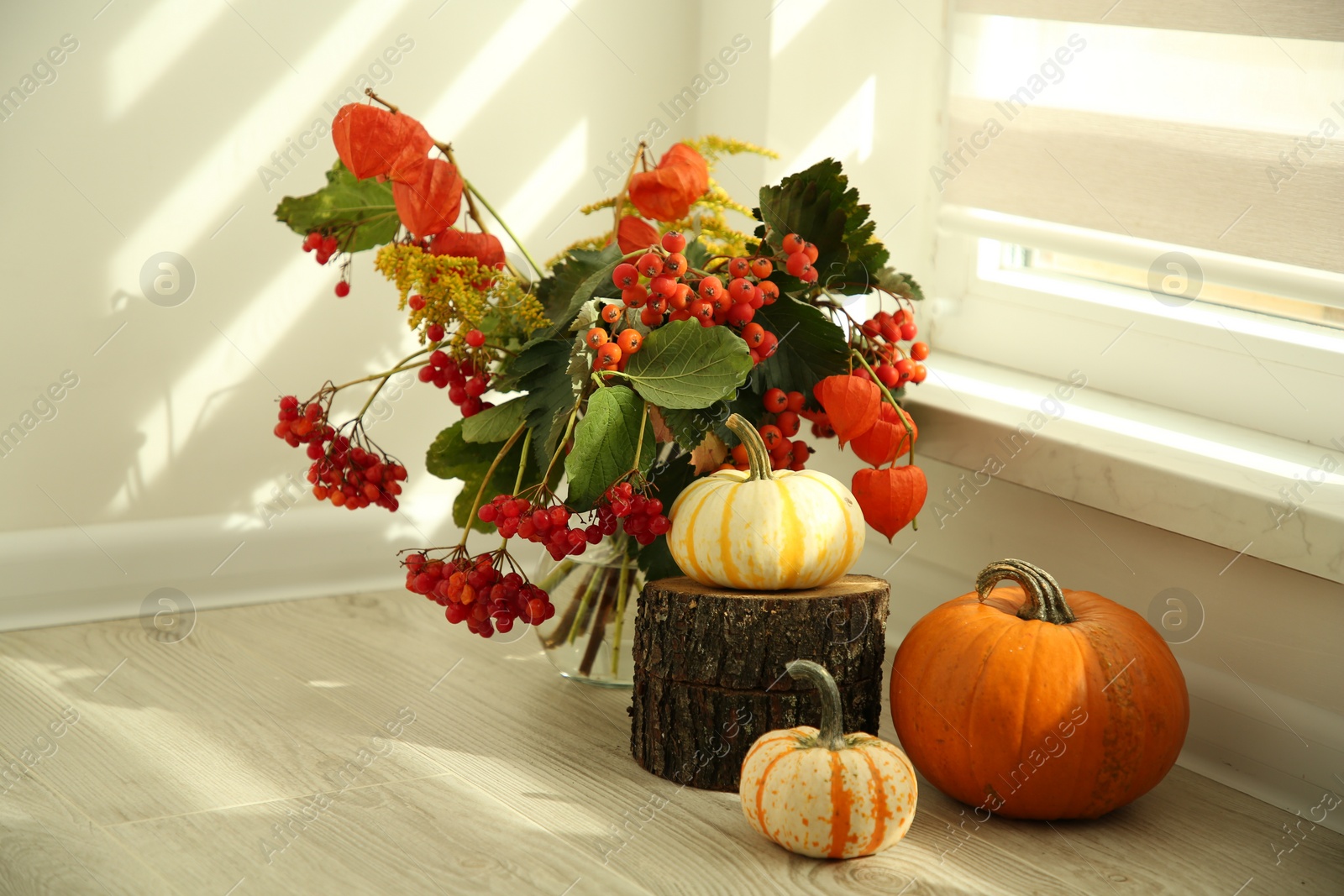 Photo of Beautiful autumn composition with different pumpkins indoors