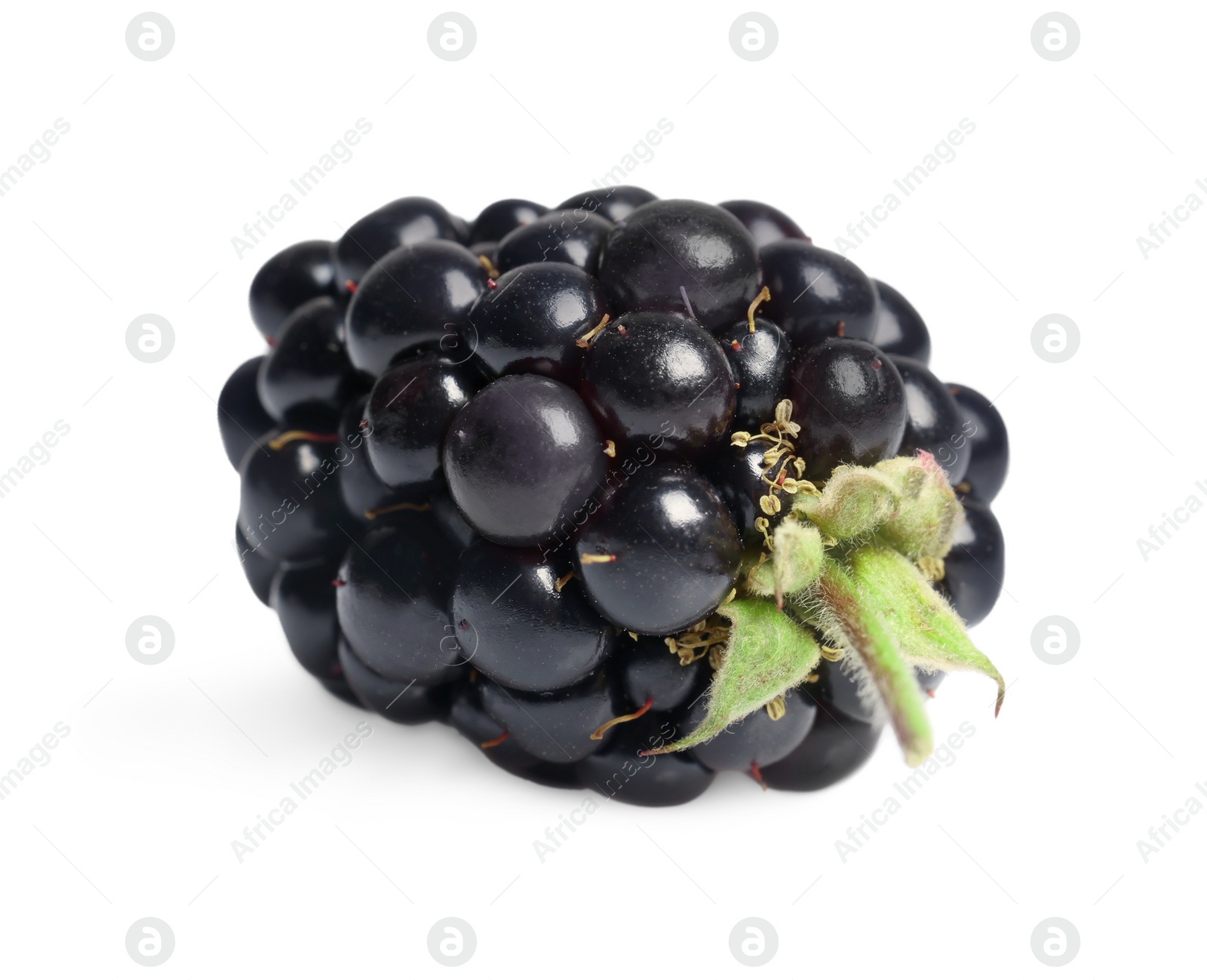 Photo of One tasty ripe blackberry isolated on white