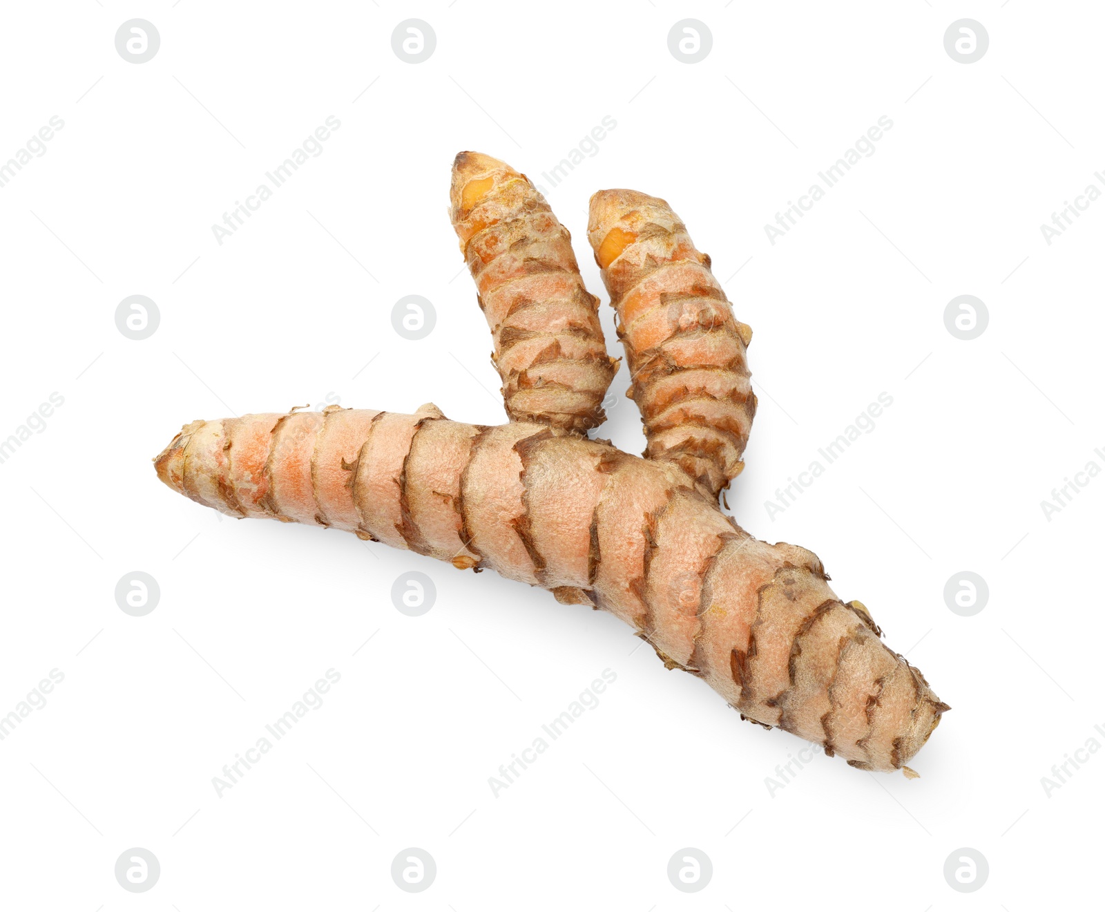 Photo of One fresh turmeric root isolated on white, top view