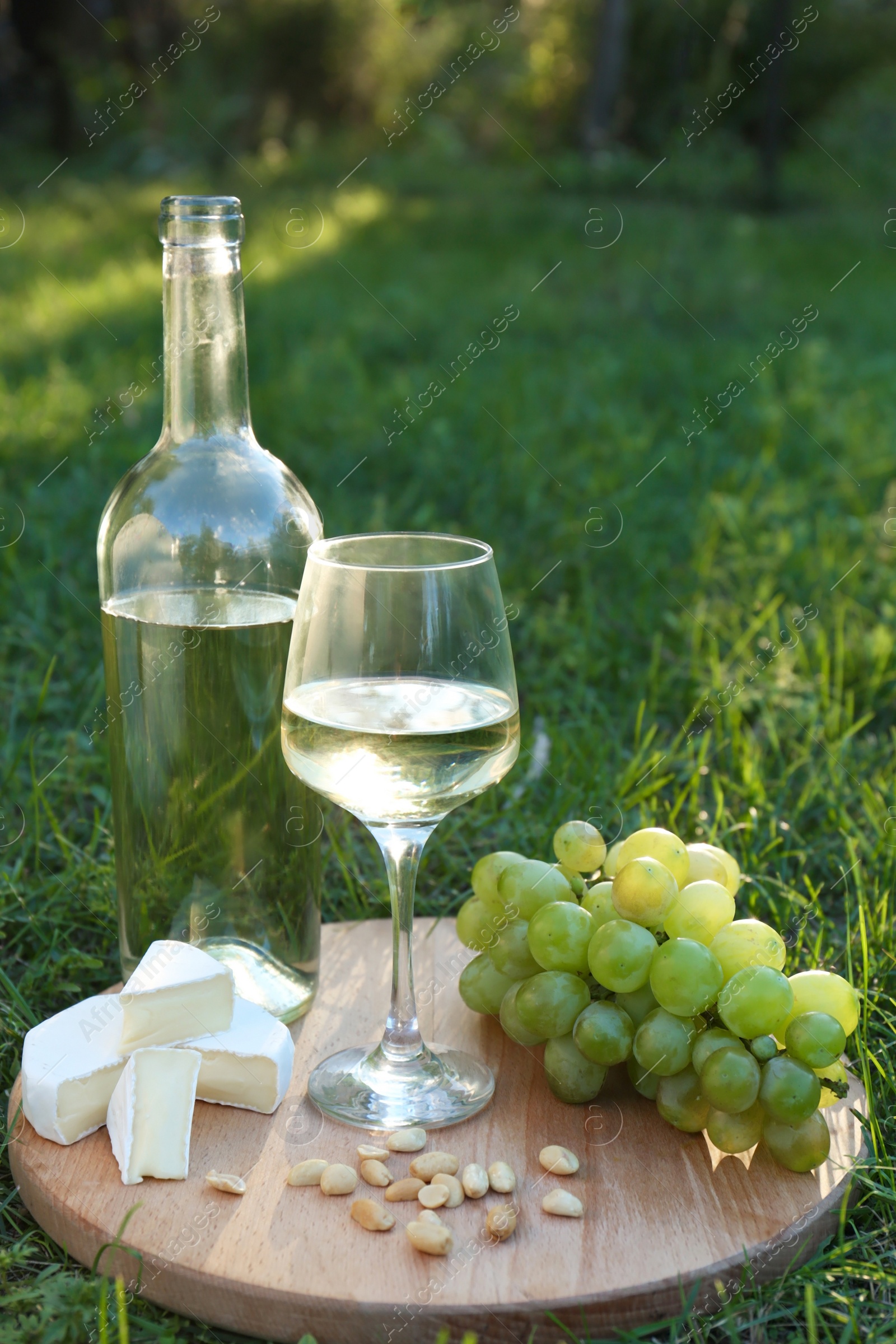 Photo of Delicious white wine, grapes, cheese and nuts on green grass outdoors