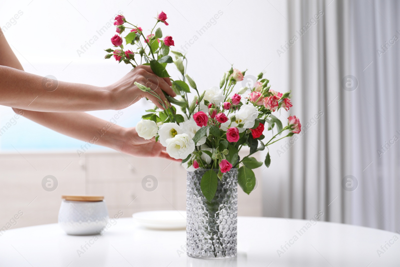 Photo of Woman taking beautiful flowers from vase on white table in room, closeup