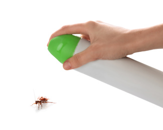 Photo of Woman spraying insecticide onto cockroach on white background, closeup. Pest control