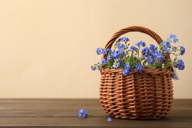 Beautiful blue forget-me-not flowers in wicker basket on wooden table. Space for text